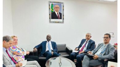 لقاء وزير الخارجية مع المبعوثة الخاصة للاتحاد الأوروبي إلى منطقة الساحل