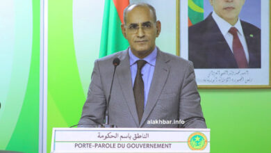 الناطق الرسمي باسم الحكومة يؤكد: الرئيس يتسم بالعدالة والاستقرار في قراراته