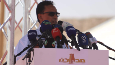 تأكيد وزير الثقافة على استثمار طاقات القطاع لضمان تميز ولاته المقبلة وجعلها ذات مستوى رفيع