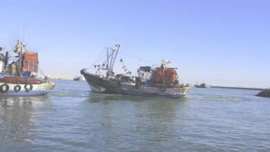 تحذير من أزمة إفلاس من قبل اتحاد ممثلي سفن الصيد السطحي