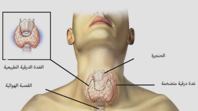 فوائد هرمون الغدة الدرقية في تعزيز قوة العضلات