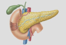كيف تحافظ على صحة البنكرياس؟