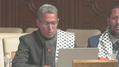 ولد سيدي مولود يناشد الحكومات العربية التضامن لمواجهة العدوان الصهيوني