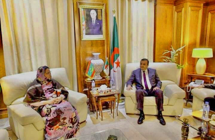 ‏وزيرة التشغيل تجري مباحثات مع وزير الطاقة والمناجم الجزائري