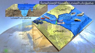 جيبوتي بين دعم غزة وتضرر موانئها بباب المندب ما خطتها؟