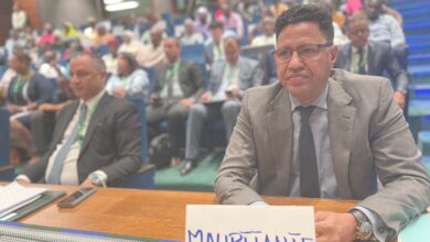 موريتانيا تشارك في اجتماع وزاري لمنظمة نهر السنغال في مالي