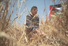 هجوم الاحتلال على غزة يتسبب في خسائر فادحة لقطاع الزراعة الإسرائيلي