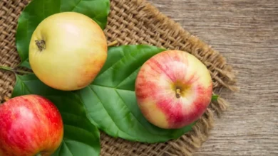 ‫أعراض حساسية التفاح؟