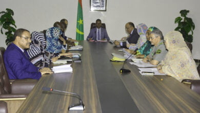 الوزير الأول: ترقية حقوق الإنسان تأتي في مقدمة برنامج الرئيس