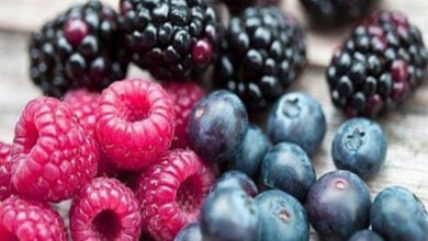 تجنب خلط التوت والعنب مع الفواكه الأخرى