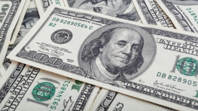 تجاوز الجنيه المصري حاجز 49 أمام الدولار بعد تحرير سعر الصرف