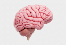 ما العلاقة بين تشنج العضلات والإصابة بأورام المخ؟