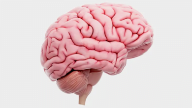 ما العلاقة بين تشنج العضلات والإصابة بأورام المخ؟