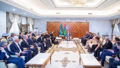 غزواني يلتقي بوفد من المستثمرين الأوروبيين