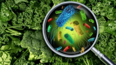 التلوث الغذائي من الإسهال حتى السرطان