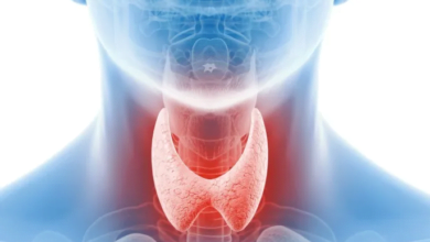 الغدد الصماء في الجسم