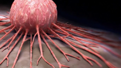 العلاج المناعي