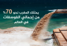 العرب في المقدمة: أكبر 10 دول منتجة ومصدرة للفوسفات عالميًا