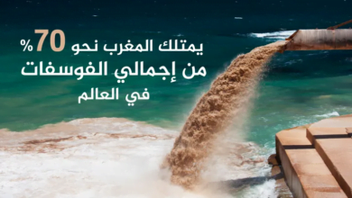 العرب في المقدمة: أكبر 10 دول منتجة ومصدرة للفوسفات عالميًا