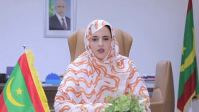 وزيرة تكشف: نسبة النساء في سوق العمل بموريتانيا تبلغ 30%