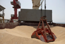 هل باتت إمدادات القمح بالعالم مهددة؟