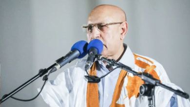 غزواني: سنحل مشكلة العطش في كيفة بشكل نهائي