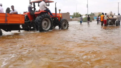 الاقتصاد الصومالي: إنجازات في ظل صعوبات قاسية