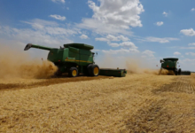 أسعار القمح في أوروبا تتراجع بفعل قرار من تركيا