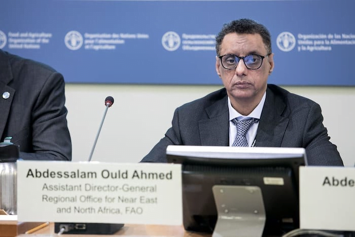 موريتانيا تستعرض«إنجازاتها» في التنمية بمنتدى نيويورك