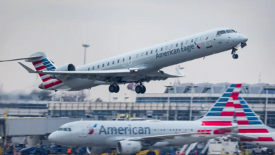 تحديات الأمن السيبراني بشركة أميركان إيرلاينز: معركة جانيش جايارام الدائمة