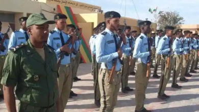 الإدارة العامة للأمن الوطني تطلق رقمًا أخضر للتبليغ عن مشكلات مع أفراد الشرطة