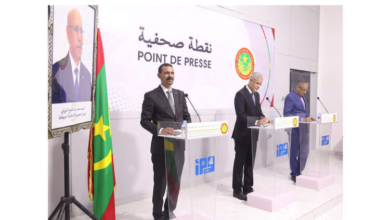 الناطق باسم الحكومة: الدولة قررت بناء مدينة إعلامية