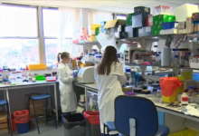 اكتشاف طريقة مبتكرة لتجويع خلايا سرطان البنكرياس والقضاء عليها