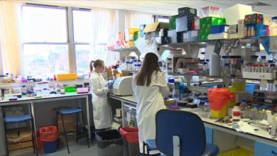 اكتشاف طريقة مبتكرة لتجويع خلايا سرطان البنكرياس والقضاء عليها