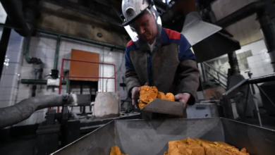 ارتفاع أسعار الذهب إلى مستويات قياسية وسط ضغوط على البلاديوم والبلاتين وتذبذب الفضة