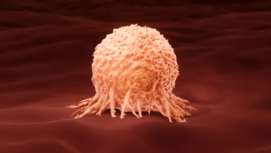 من المسؤول عن سقوط الجهاز المناعي أمام الخلايا السرطانية الغازية؟