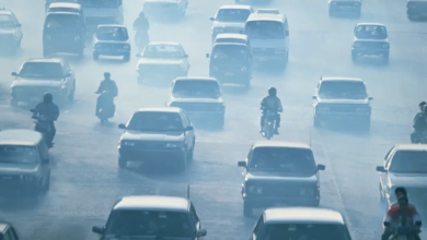 ارتفاع معدلات العقم عالمياً: التلوث البيئي والضوضائي في دائرة الاتهام