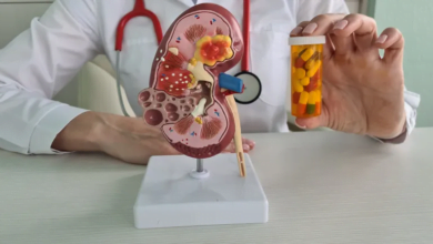 انخفاض حاد في مخاطر الوفيات بين المتبرعين بالكلى: دراسة جديدة تكشف أماناً متزايداً لعمليات الزرع