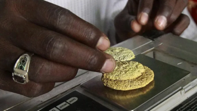 ارتفاع صادرات الذهب في السودان رغم الحرب: فرص اقتصادية ومخاطر بيئية