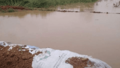 **فيضانات نهر السنغال تؤثر على القرى والمدن في كيدي ماغا: الوالي يكشف عن الإجراءات المتخذة لحماية المتضررين**