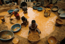 أفريقيا: ثروات طبيعية ونمو اقتصادي يتحدى البنية التحتية