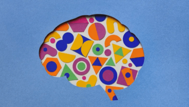 دراسة أمريكية تكشف تأثير الفوضى البصرية على تدفق المعلومات في الدماغ