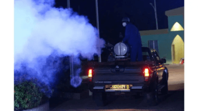 نواكشوط تطلق حملة موسعة لمكافحة البعوض في جميع المقاطعات