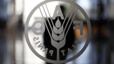 ارتفاع أسعار الغذاء العالمية إلى أعلى مستوى في 18 شهرًا بقيادة الزيوت النباتية